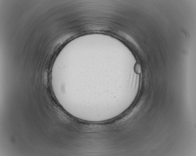 X0000113040777200910081210
