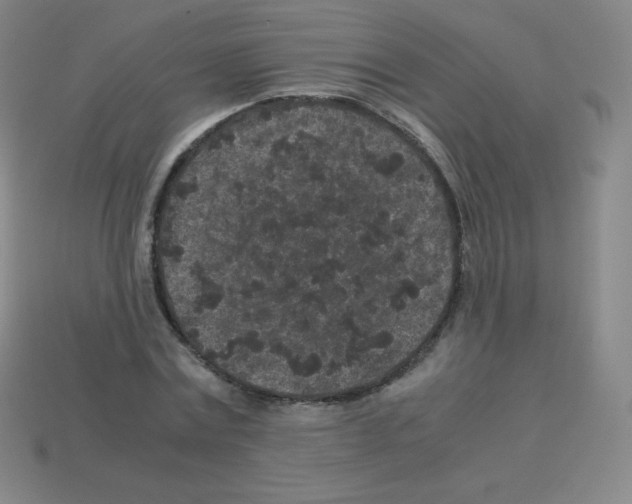 X0000113040779200910081210