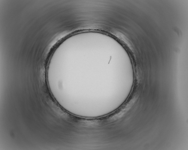 X0000113040781200910081210