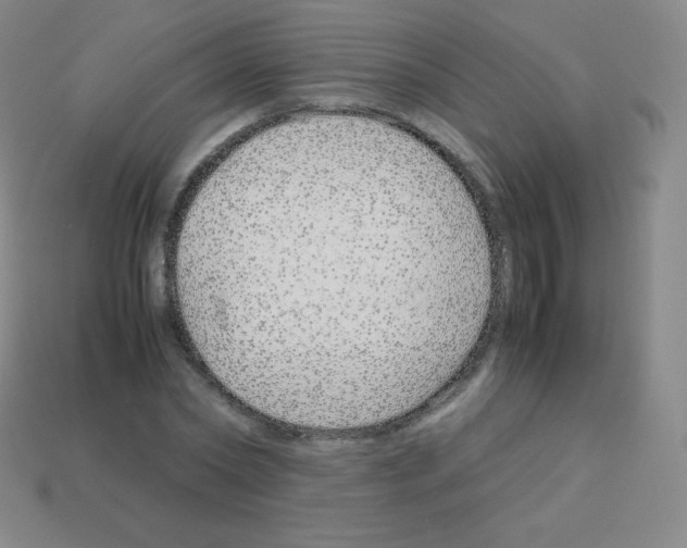 X0000113040782200910081210