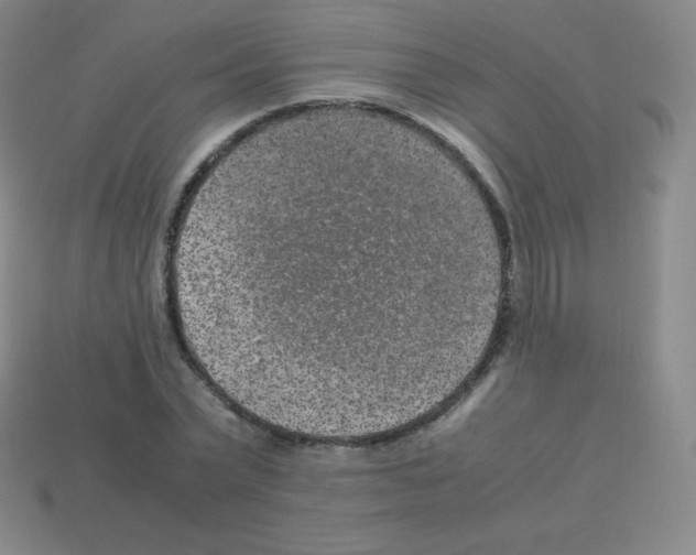X0000113040783200910081210