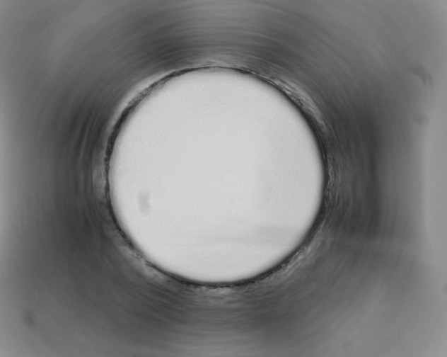 X0000113040784200910081210