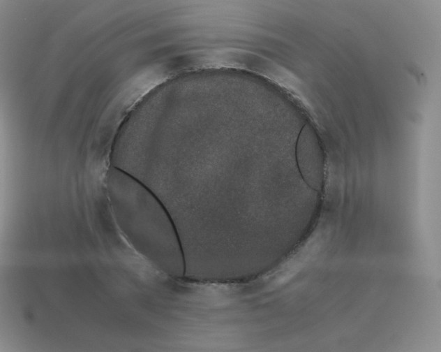 X0000113040785200910081210