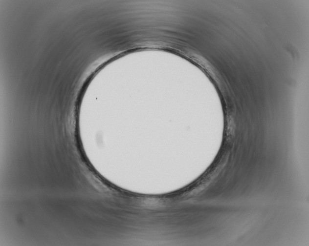 X0000113040787200910081210