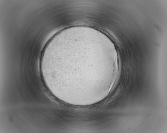 X0000113040788200910081210
