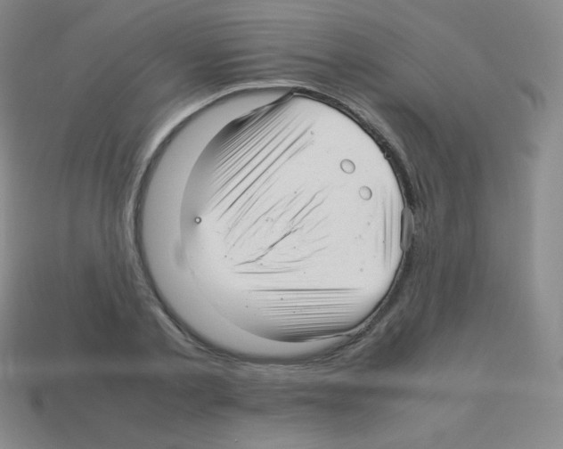 X0000113040789200910081210
