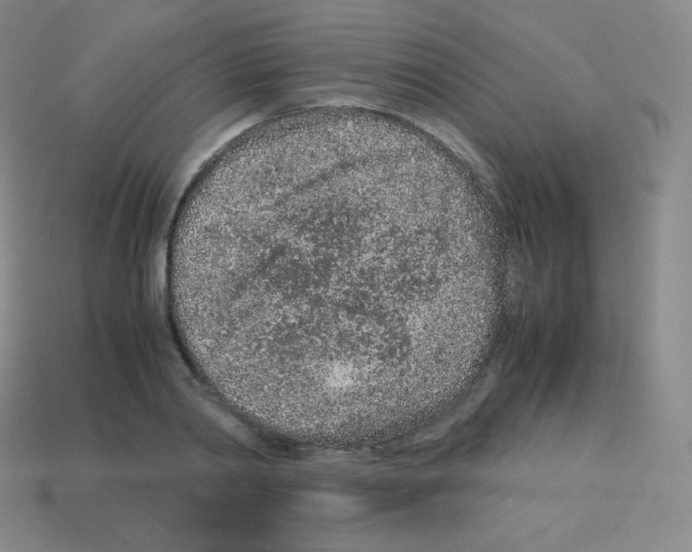 X0000113040790200910081210