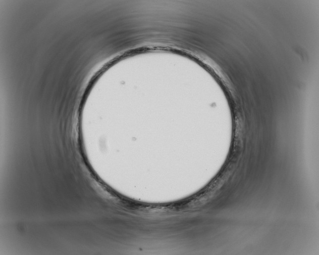 X0000113040791200910081210
