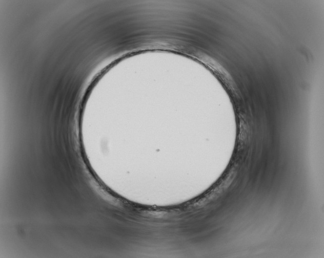 X0000113040792200910081210