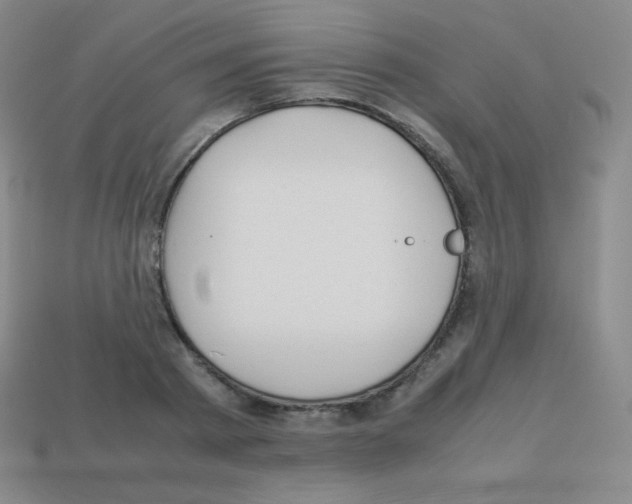 X0000113040793200910081210