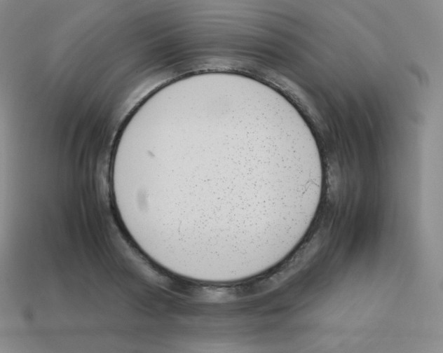 X0000113040794200910081210