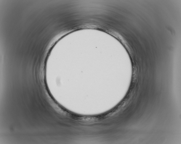 X0000113040795200910081210