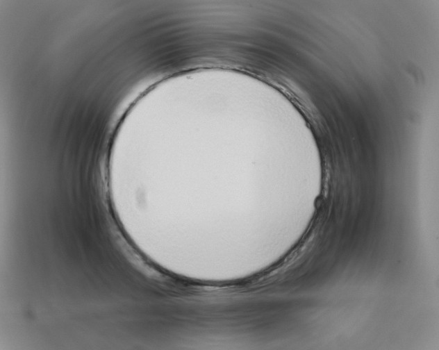 X0000113040796200910081210