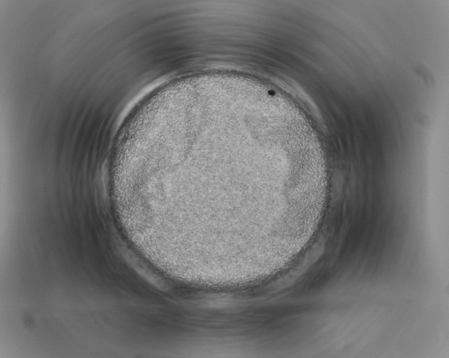 X0000113040798200910081210