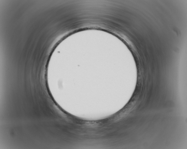 X0000113040799200910081210