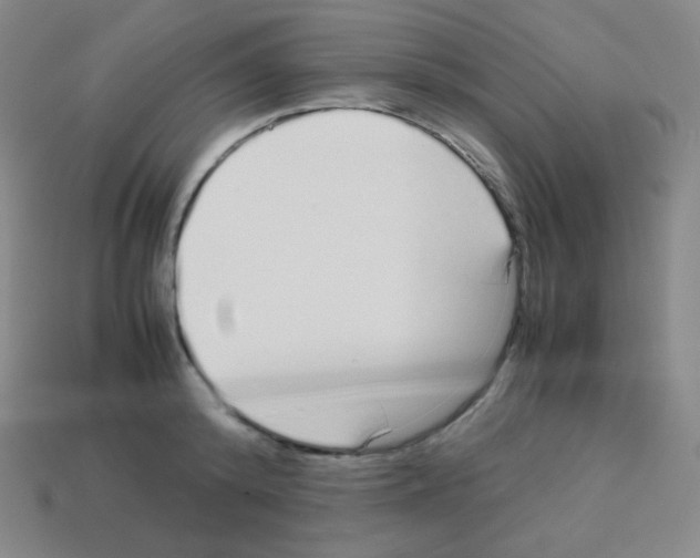 X0000113040800200910081210