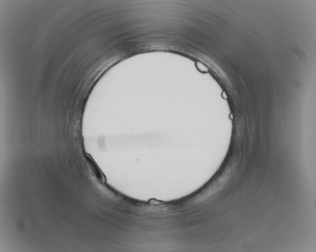 X0000113040801200910081210