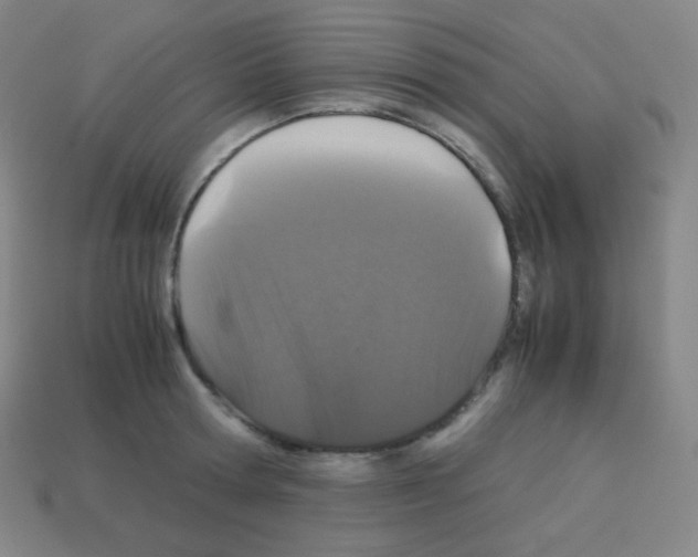 X0000113040802200910081210