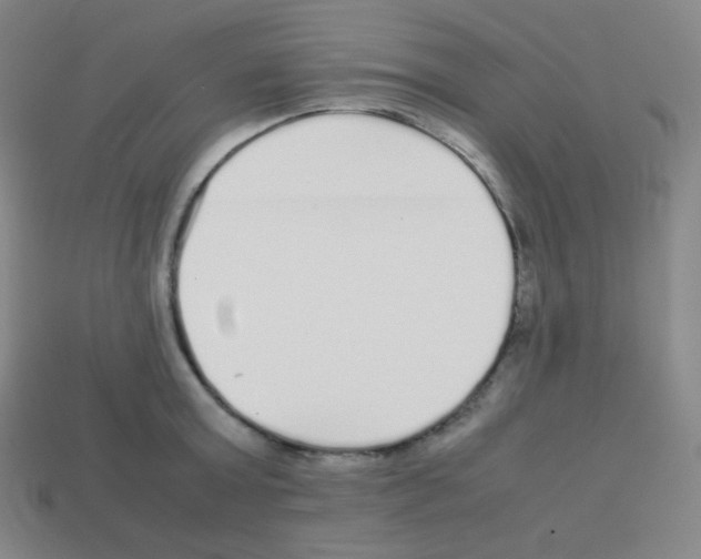 X0000113040803200910081210