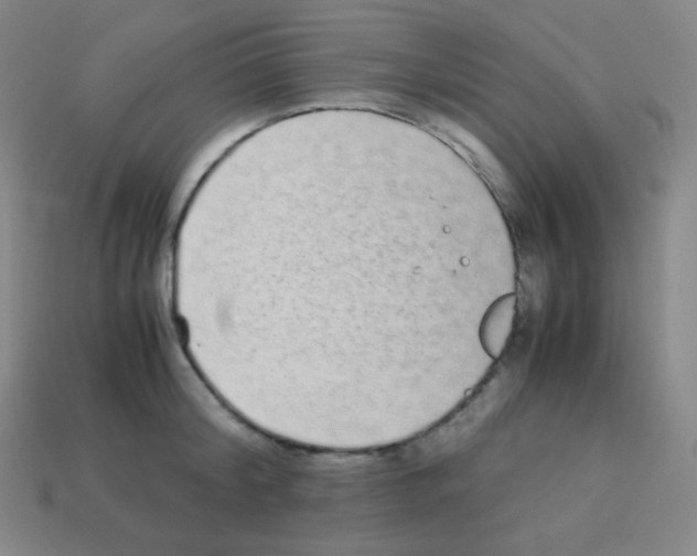 X0000113040804200910081210