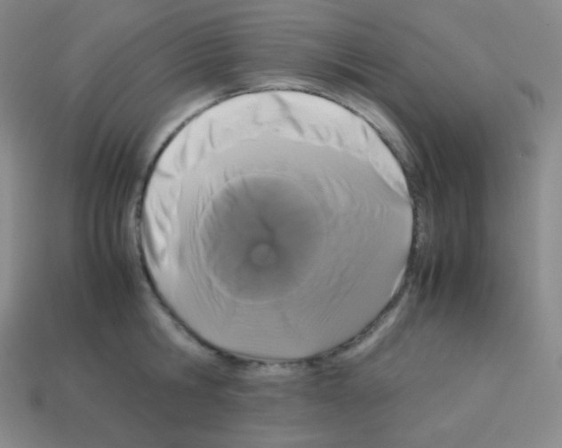 X0000113040806200910081210