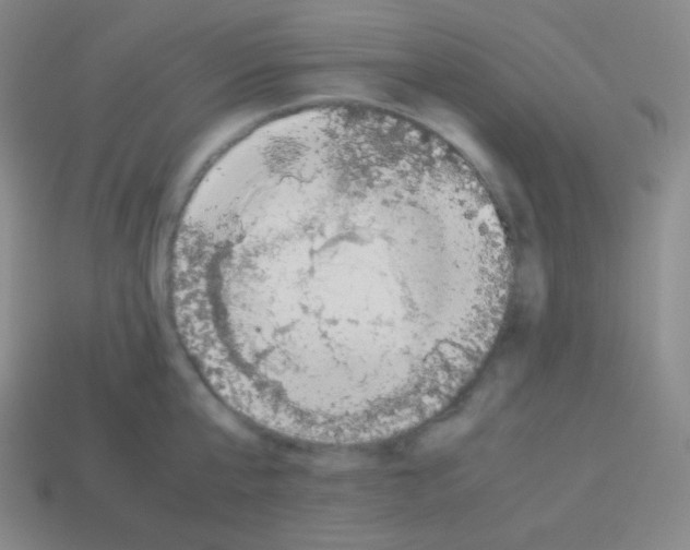 X0000113040807200910081210