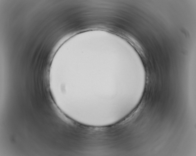 X0000113040808200910081210