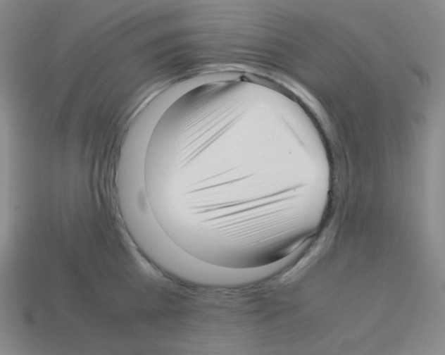 X0000113040809200910081210