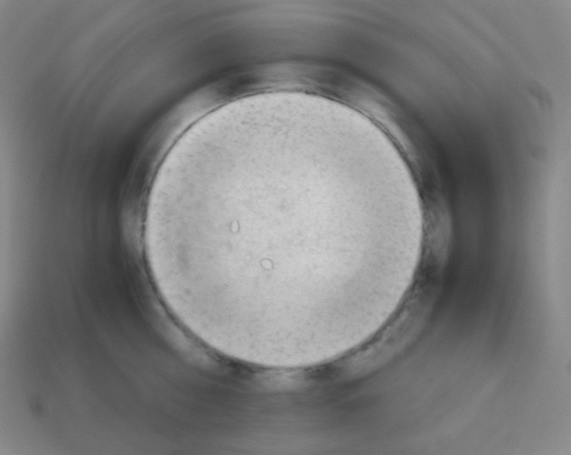 X0000113040810200910081210