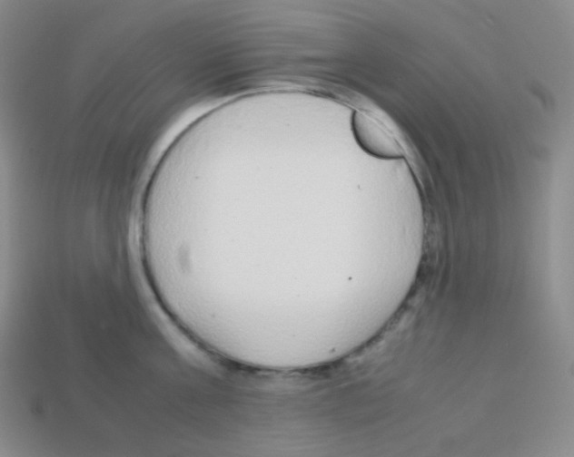 X0000113040811200910081210