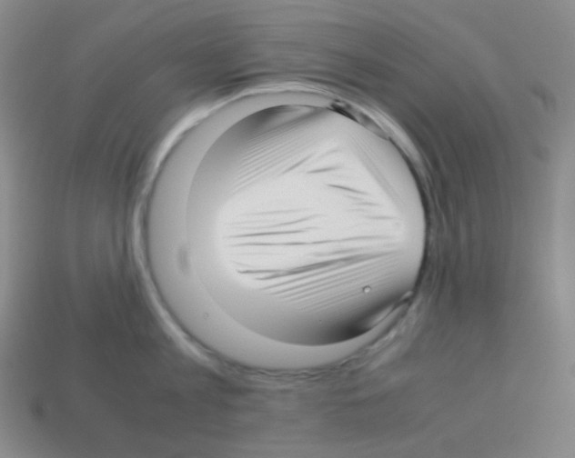 X0000113040813200910081210