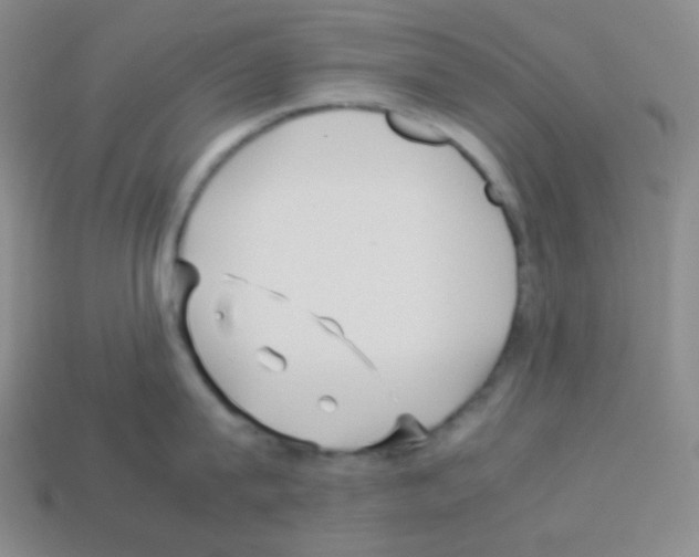 X0000113040815200910081210
