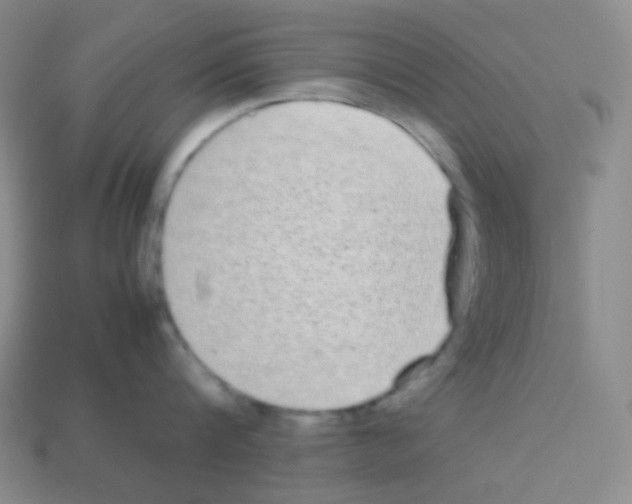 X0000113040816200910081210