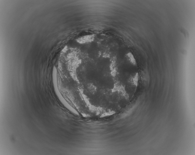 X0000113040818200910081209