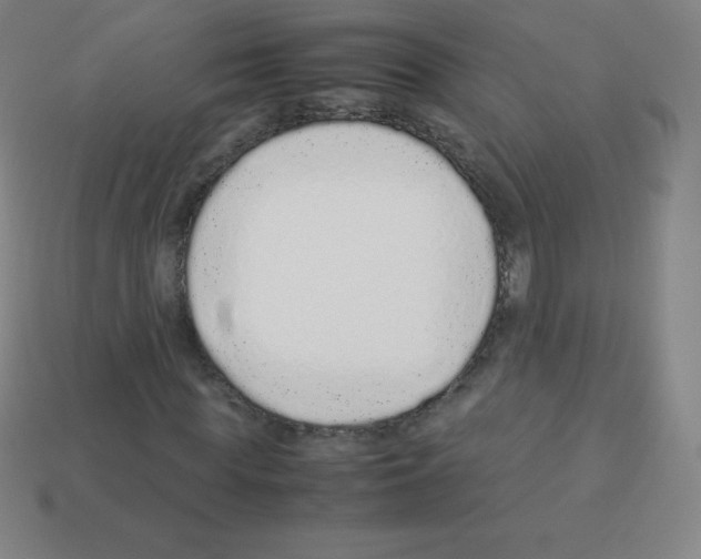 X0000113040819200910081209