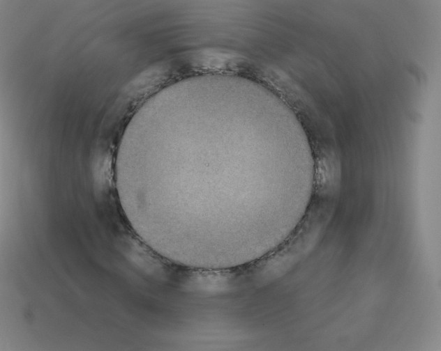 X0000113040820200910081209