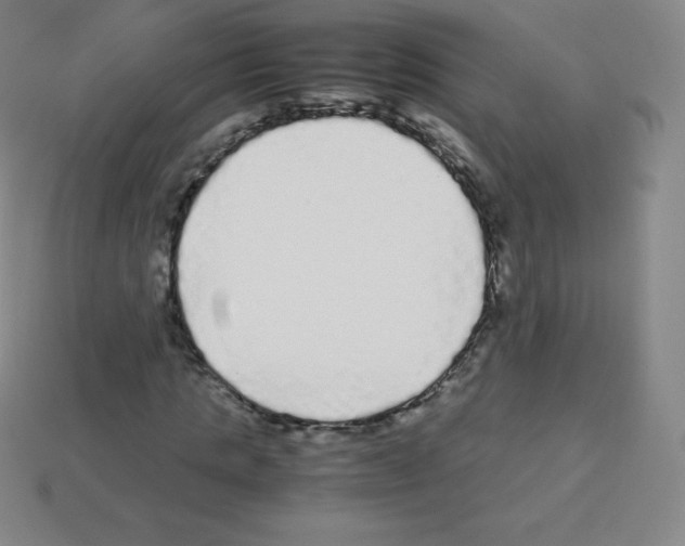 X0000113040821200910081209