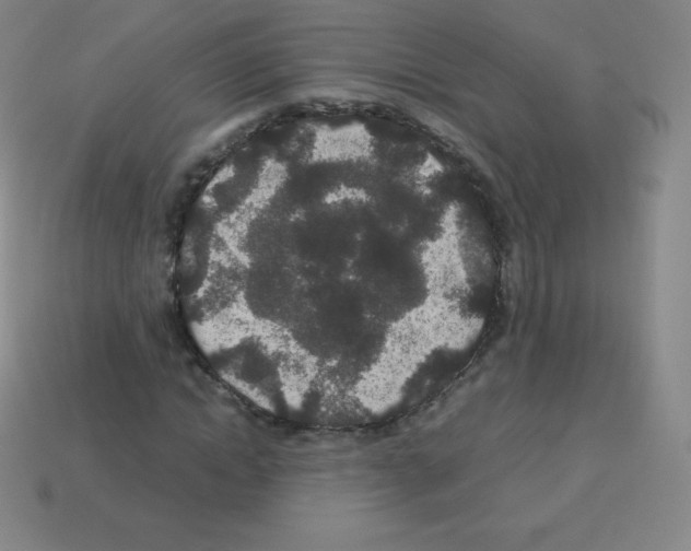 X0000113040822200910081209