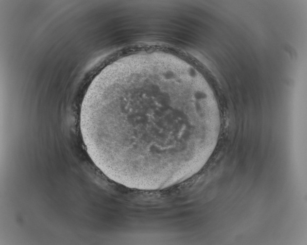 X0000113040823200910081209