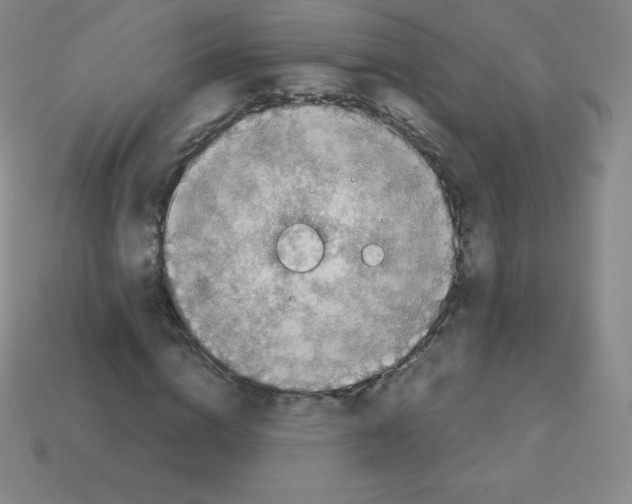 X0000113040824200910081209