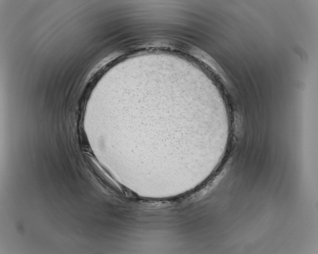 X0000113040826200910081209