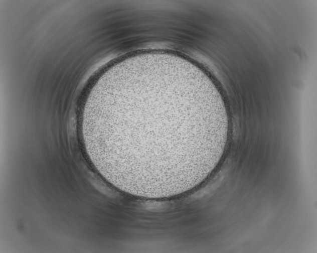 X0000113040827200910081209