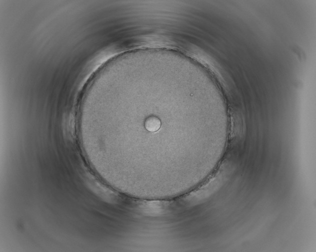 X0000113040828200910081209