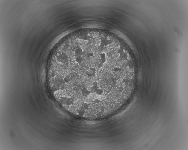 X0000113040829200910081209