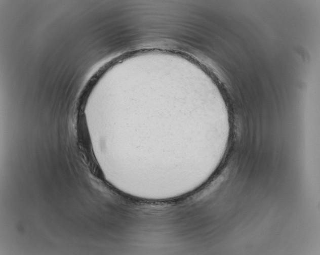 X0000113040830200910081209