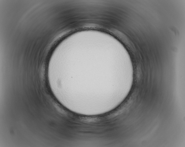 X0000113040831200910081209
