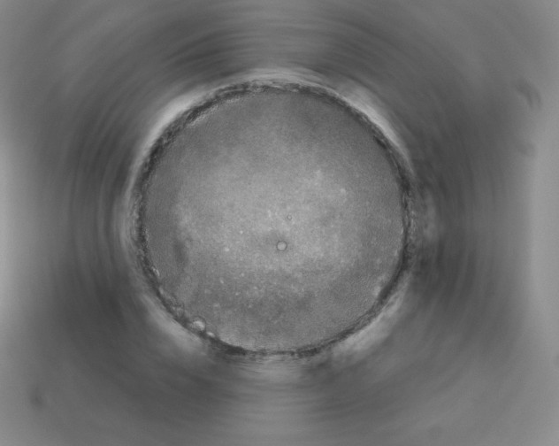 X0000113040832200910081209