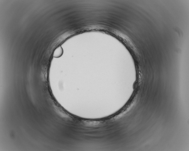 X0000113040833200910081209