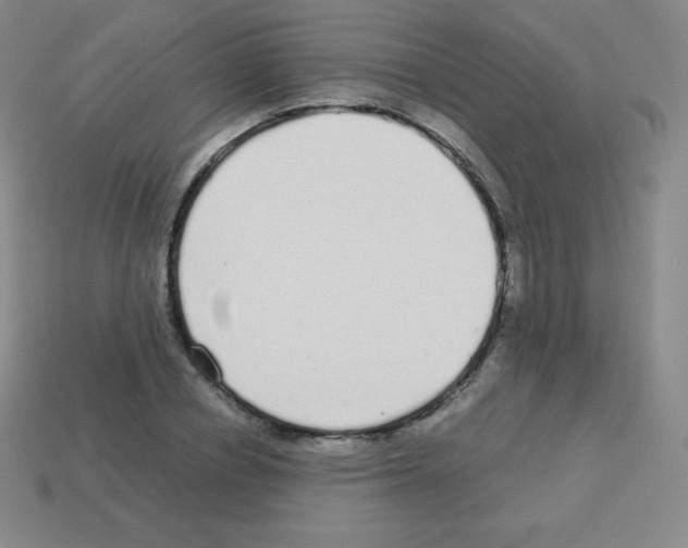 X0000113040834200910081209