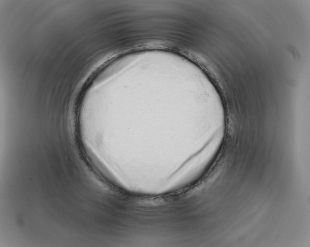 X0000113040835200910081209
